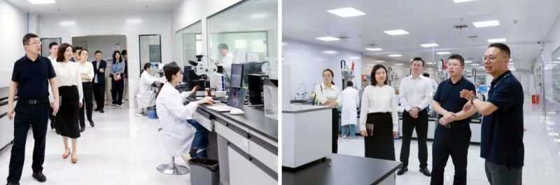 省卫健委医学科技发展中心主任雷军带队调研晶易医药