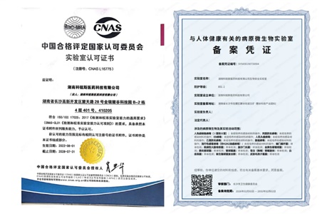 离体人皮体外透皮试验（IVPT），晶易医药合规赋能外用制剂申报